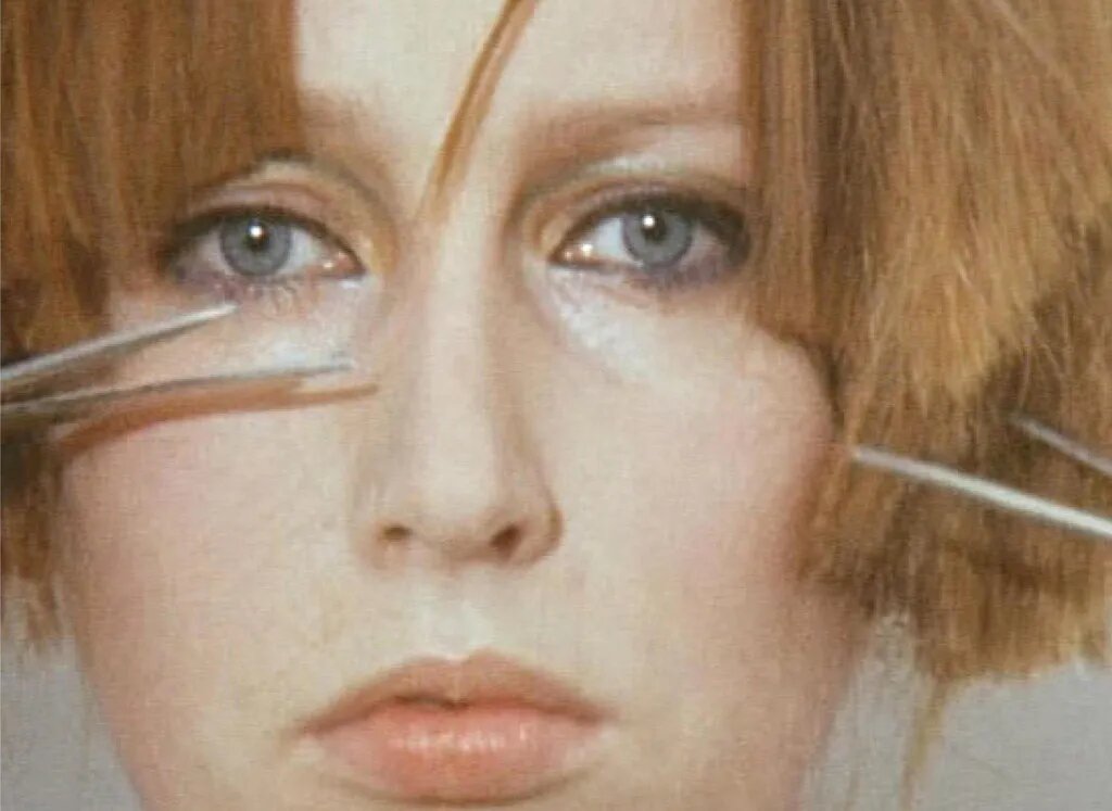 Кадр из видеоряда Р. Хорн. 1974 - 1975.