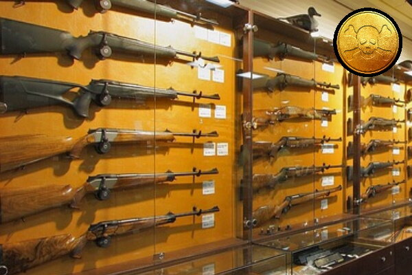 коллаж из изображений Pixabay