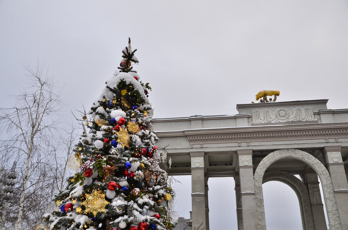 Россия - 90-я по счету и самая высокая ёлочка.