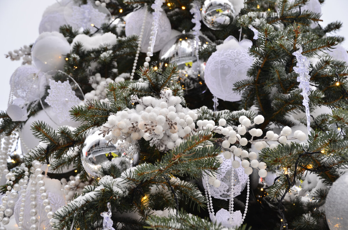 Белоснежная Рязанская область.