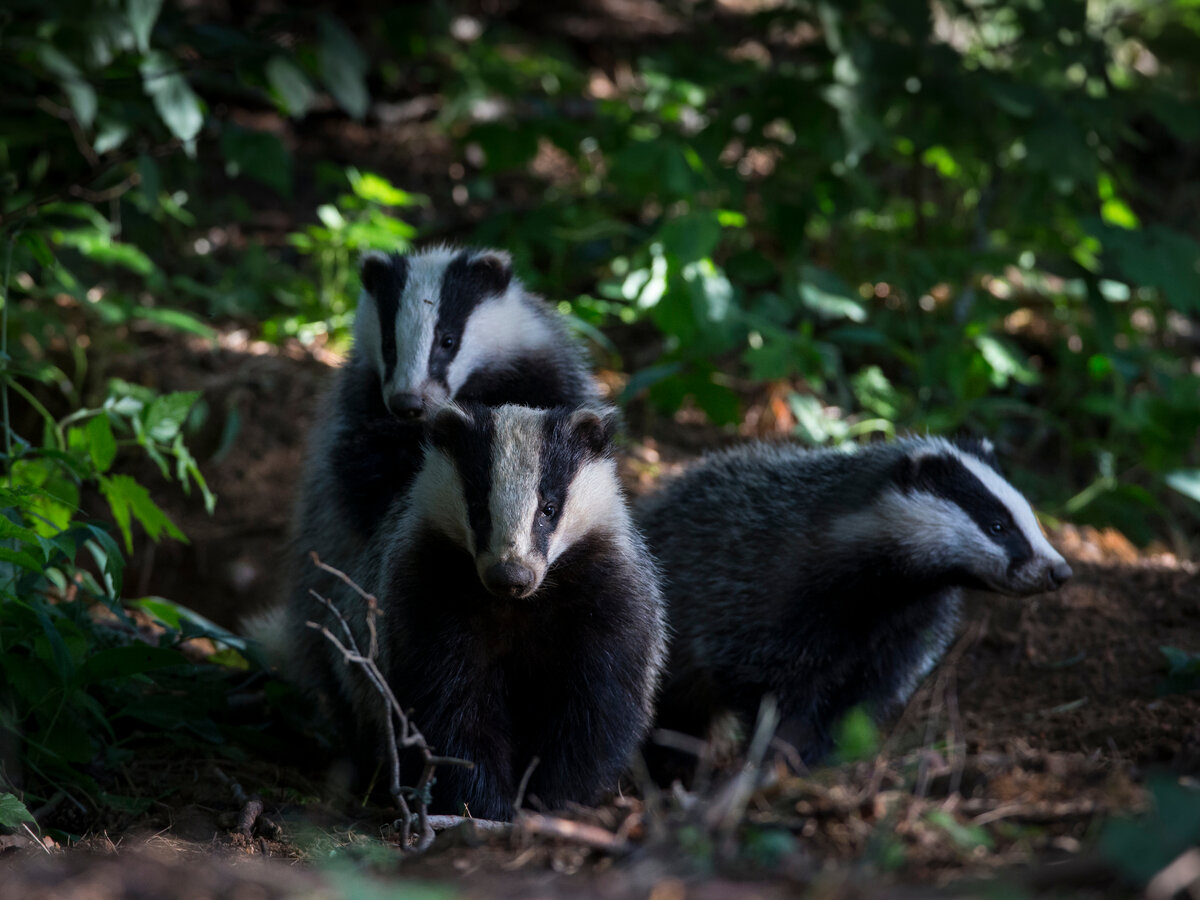 фото А. Прутенский