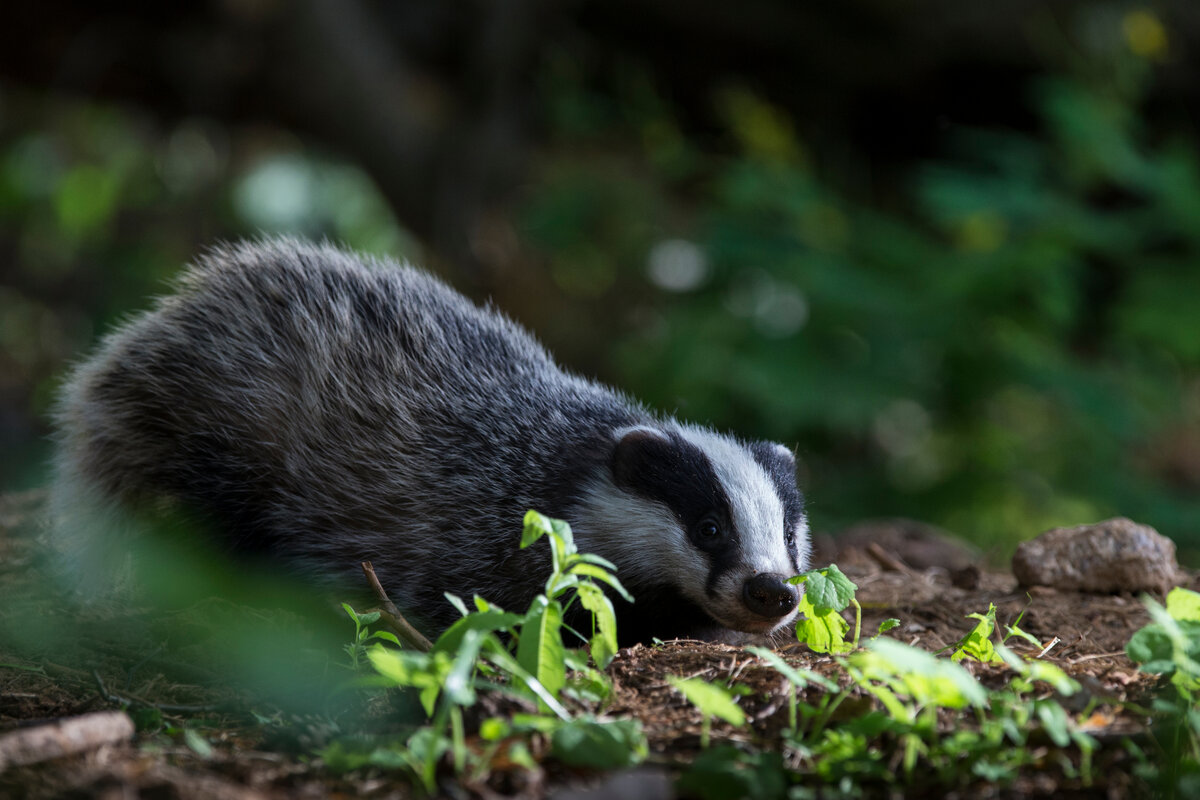 фото А. Прутенский