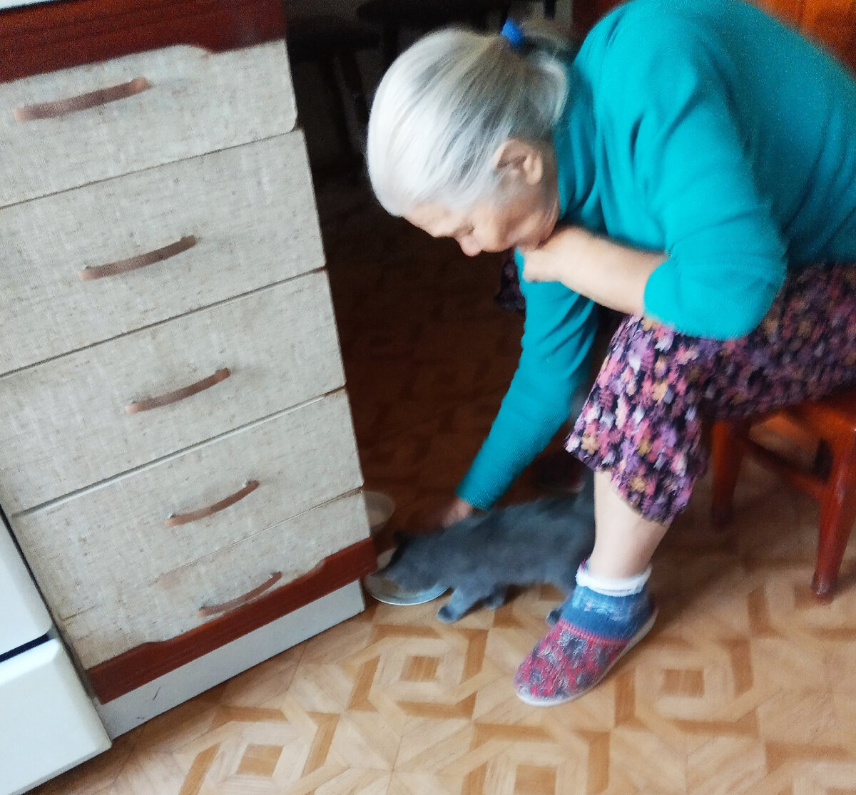 Фото автора  Мама моя пришла к желанию стать хозяйкой котёнка. Теперь уж он большенький.  Зовут его Васька.  