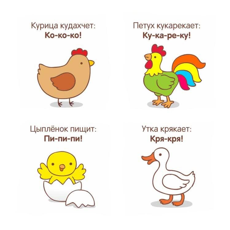 Куры кудахчут. Курица кудахчет снеслась. Куры кудахчут слышащий замысливший надломленный. Куры в курятнике. Куры кудахчут слышащий замысливший надломленный.