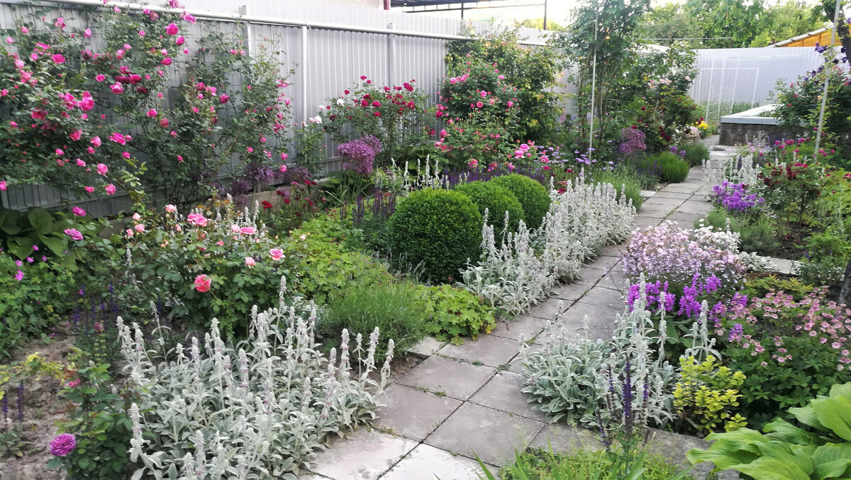 Восточный розарий, июнь 2020 года.
