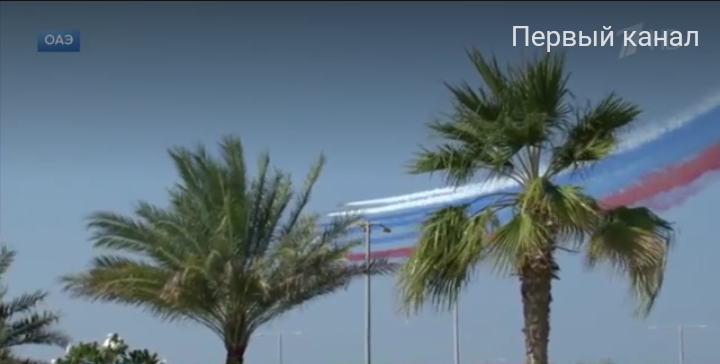Триколор и пальмы!