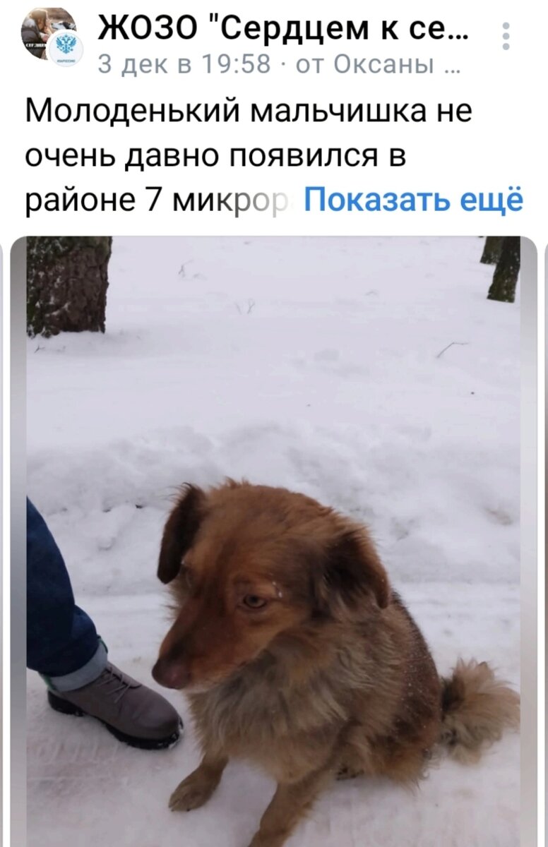Заметили люди, пишут посты о помощи