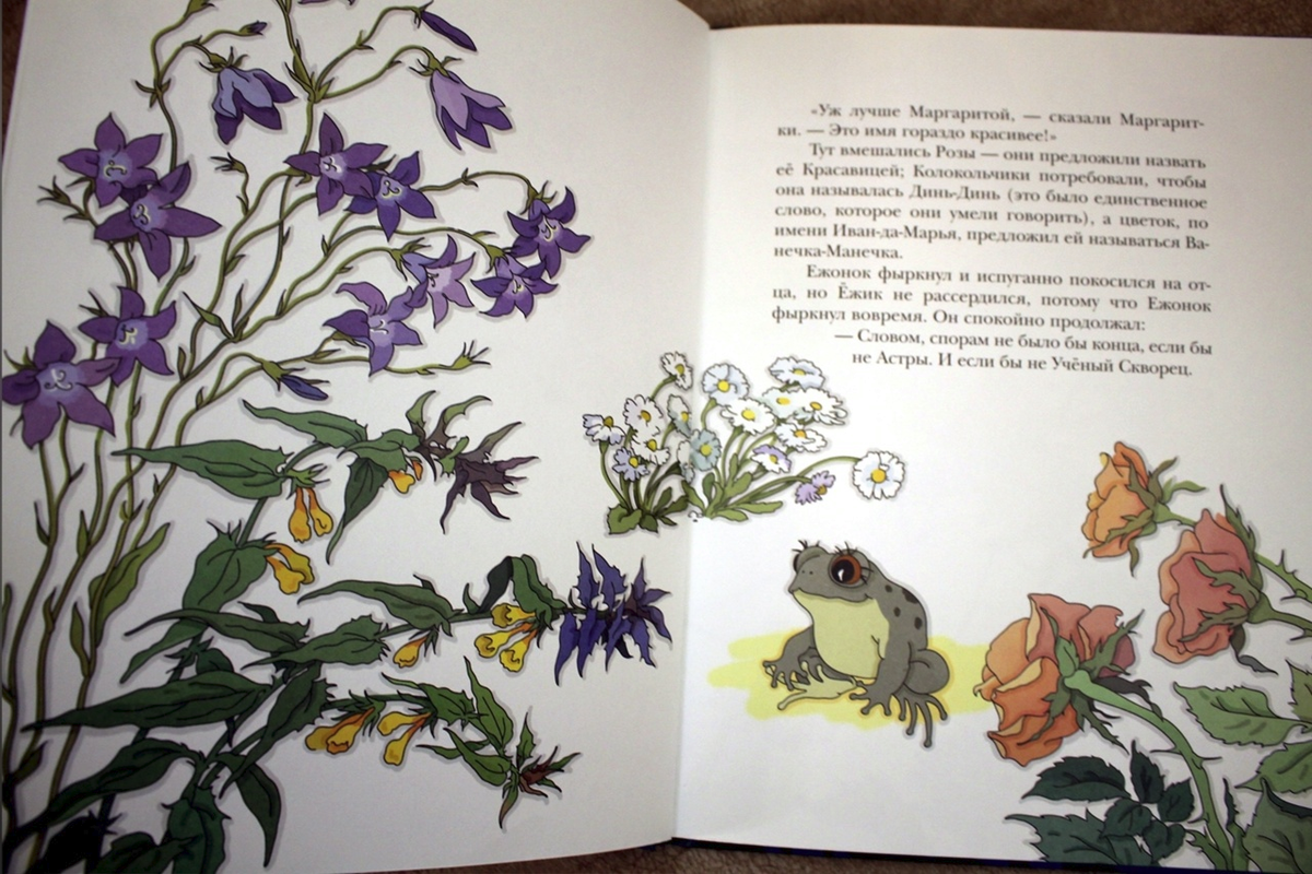 Разворот книги для ознакомительного просмотра