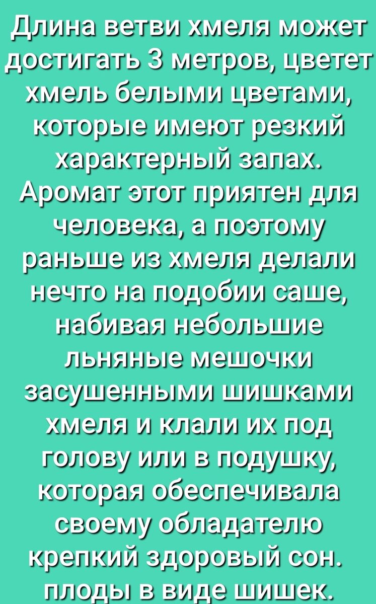 Ведьмёныш. Новые приключения. про поиск наставницы, про нелюбимую дочь и  про раскаяние | Ведьмины подсказки. Мифы, фэнтези, мистика | Дзен