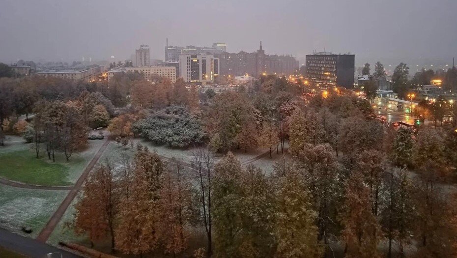    Сад "Нева". Автор фото: "Яндекс Карты"