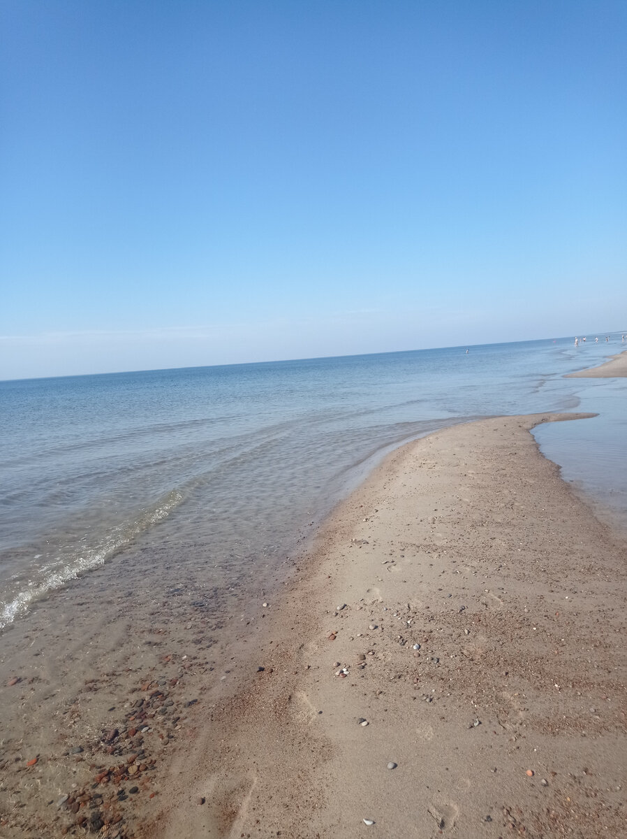 Куршская коса. Где тёплая вода на Балтийском море? | Полезные путешествия |  Дзен