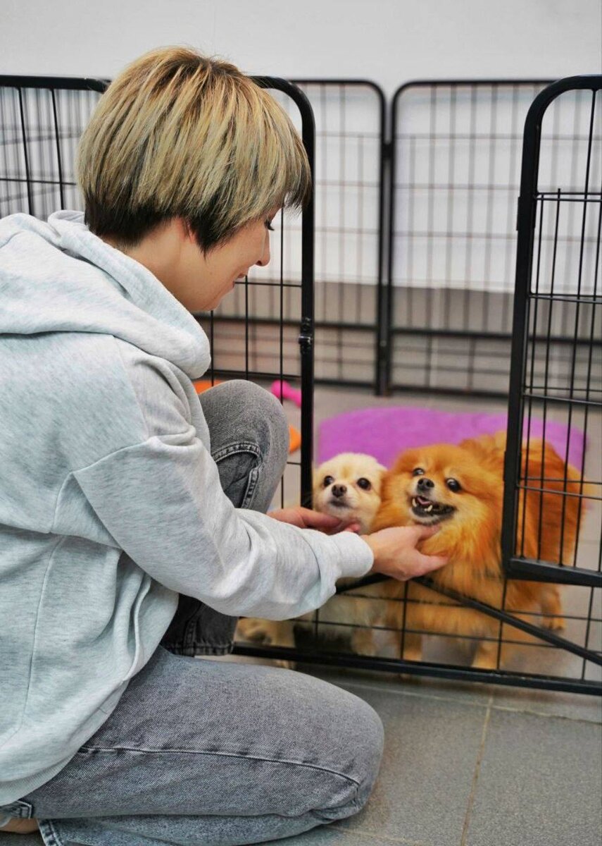 Юлия Рыжанушкина. Директор и основатель приюта для маленьких собак «Домик Мелкашей»