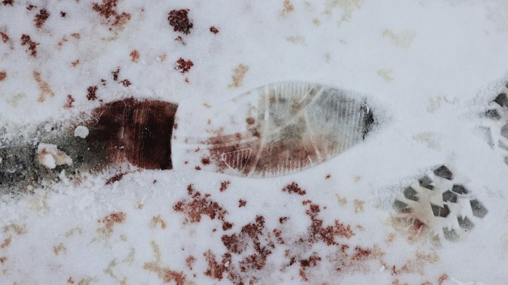 ФОТО: PHILIPPE DE POULPIQUET/KEYSTONE PRESS AGENCY/GLOBALLOOKPRESS 