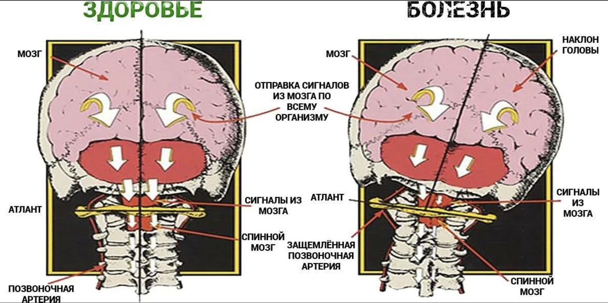 картинка взята из открытых источников интернета