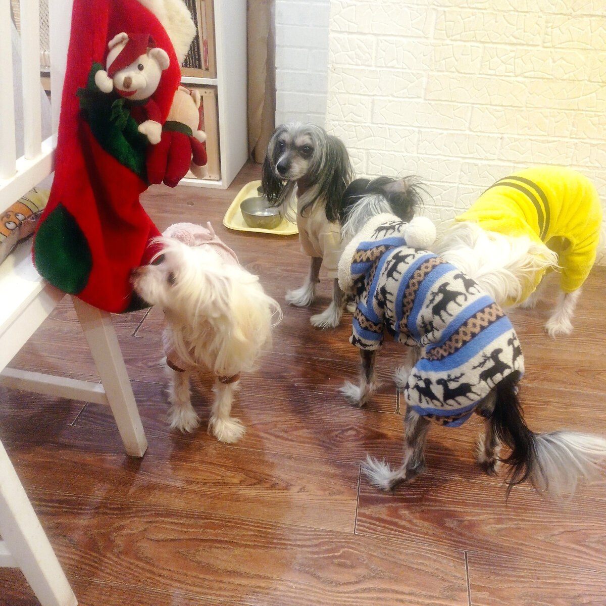 Тусовка у печки