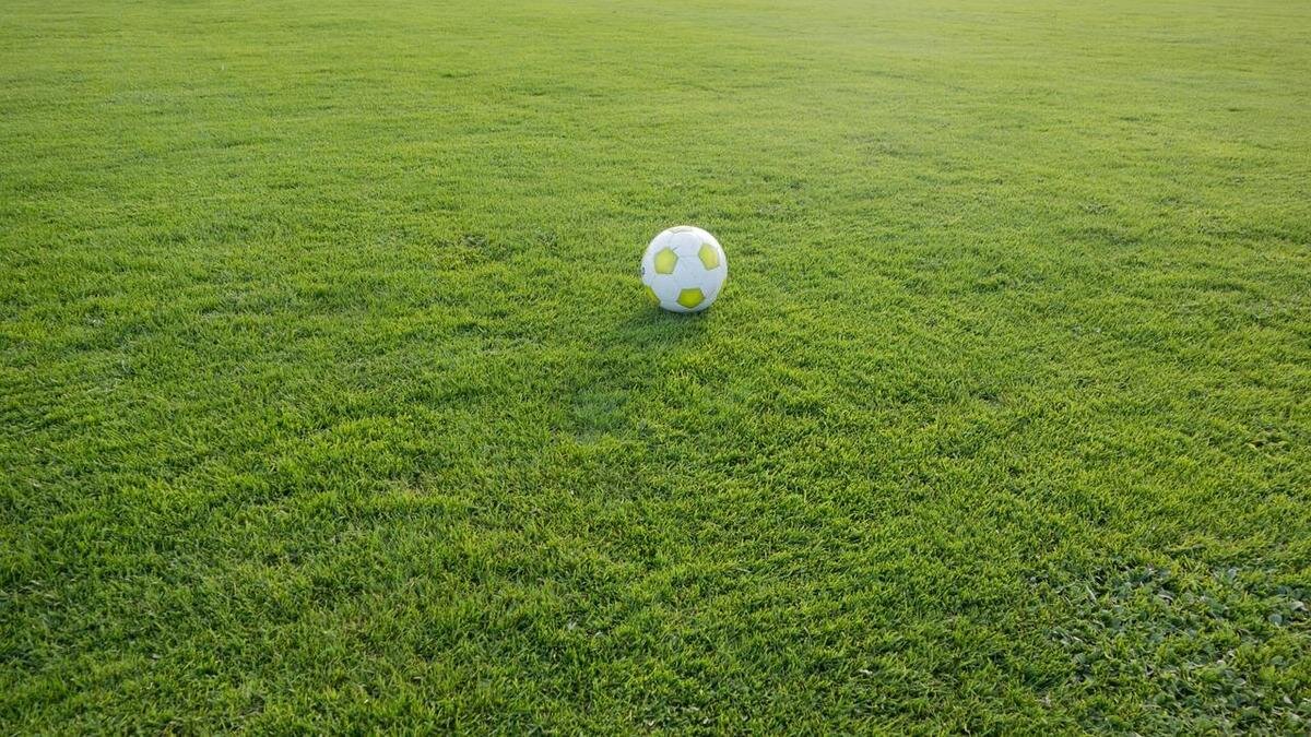    Футбольное поле:Pixabay