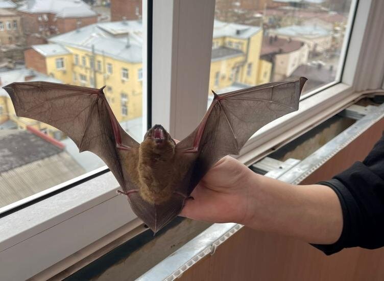    Фото: rostov.kp.ru