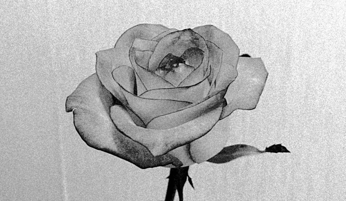 Книга в самую душу.... 