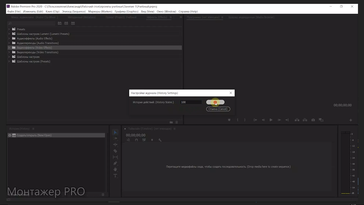 Настройки журнала в Adobe Premiere Pro 2020
