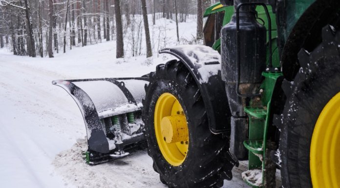   Image by fxquadro on Freepik