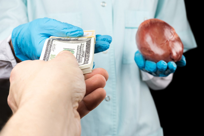 Кровавый бизнес поставлен на поток