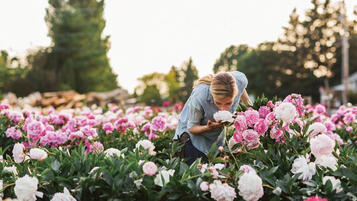 Глэмпинг в цветочном саду, на пасеке - чем не бизнес-идея?