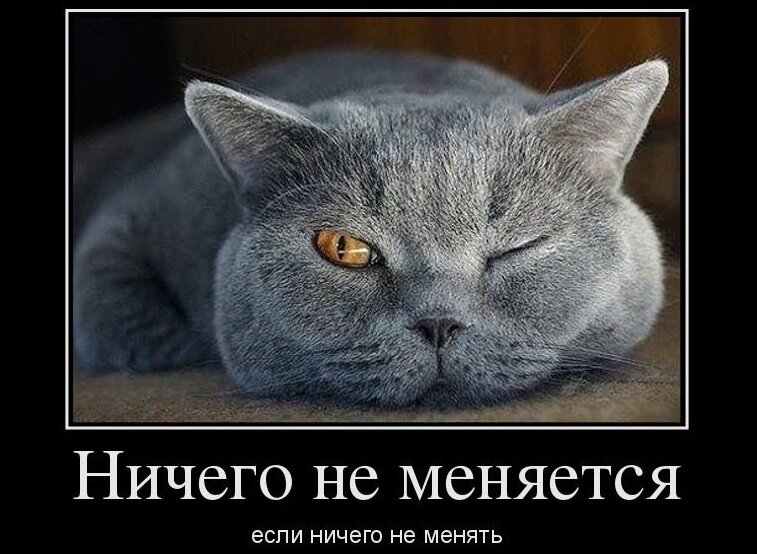 Сабж