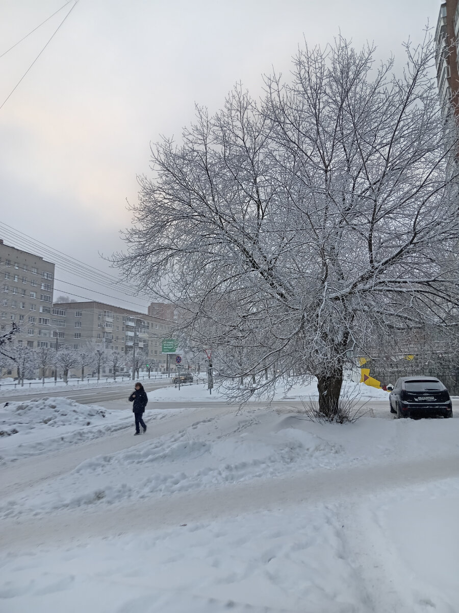 Утро все вокруг кружевное