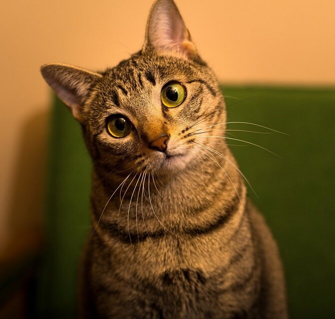 -И что творим???