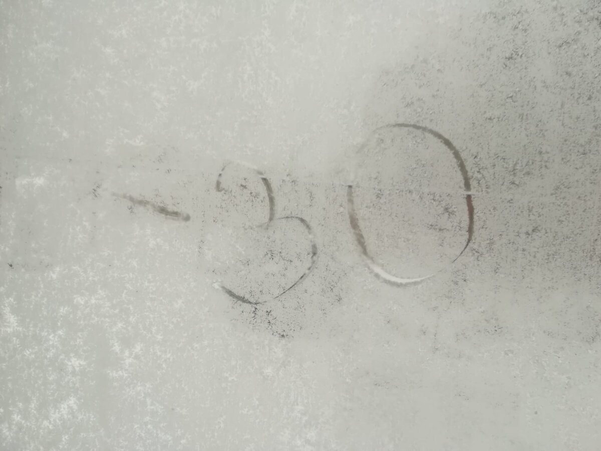 Фото: Царьград Новосибирск