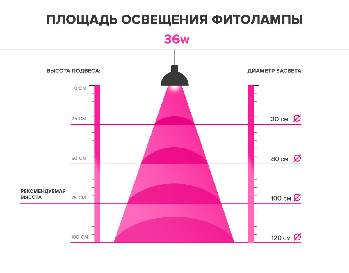 Расстояние от лампы до рассады