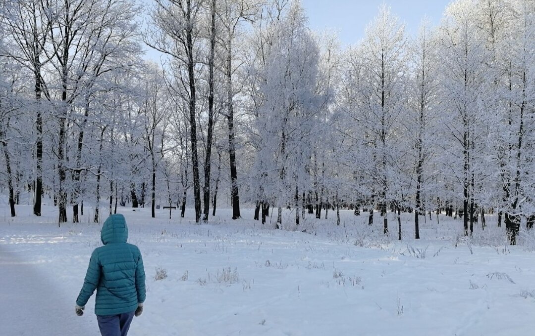 Согласно исследованиям всего часовая прогулка в день в тишине помогает бороться со стрессом.