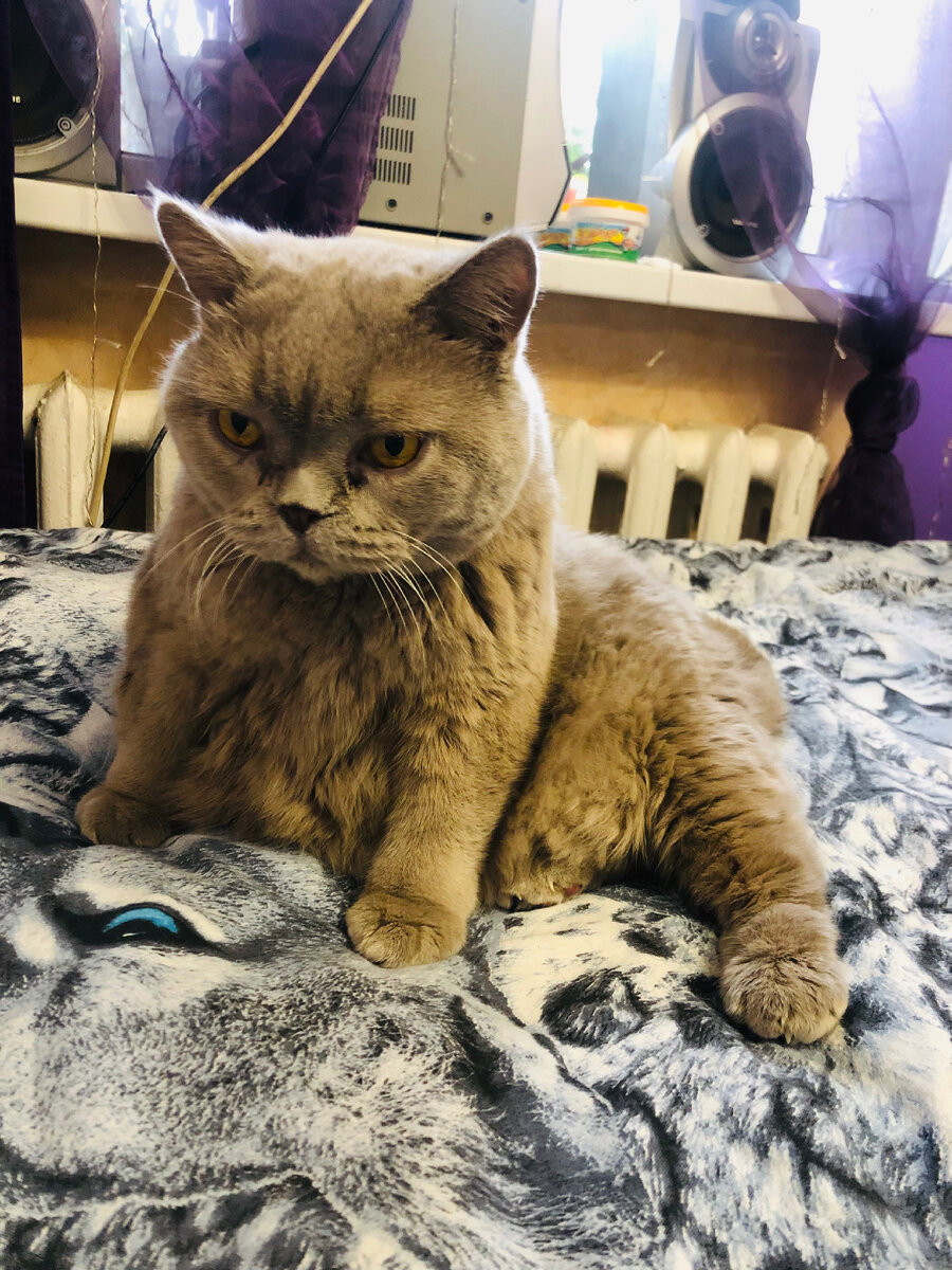 Кокс отдыхает