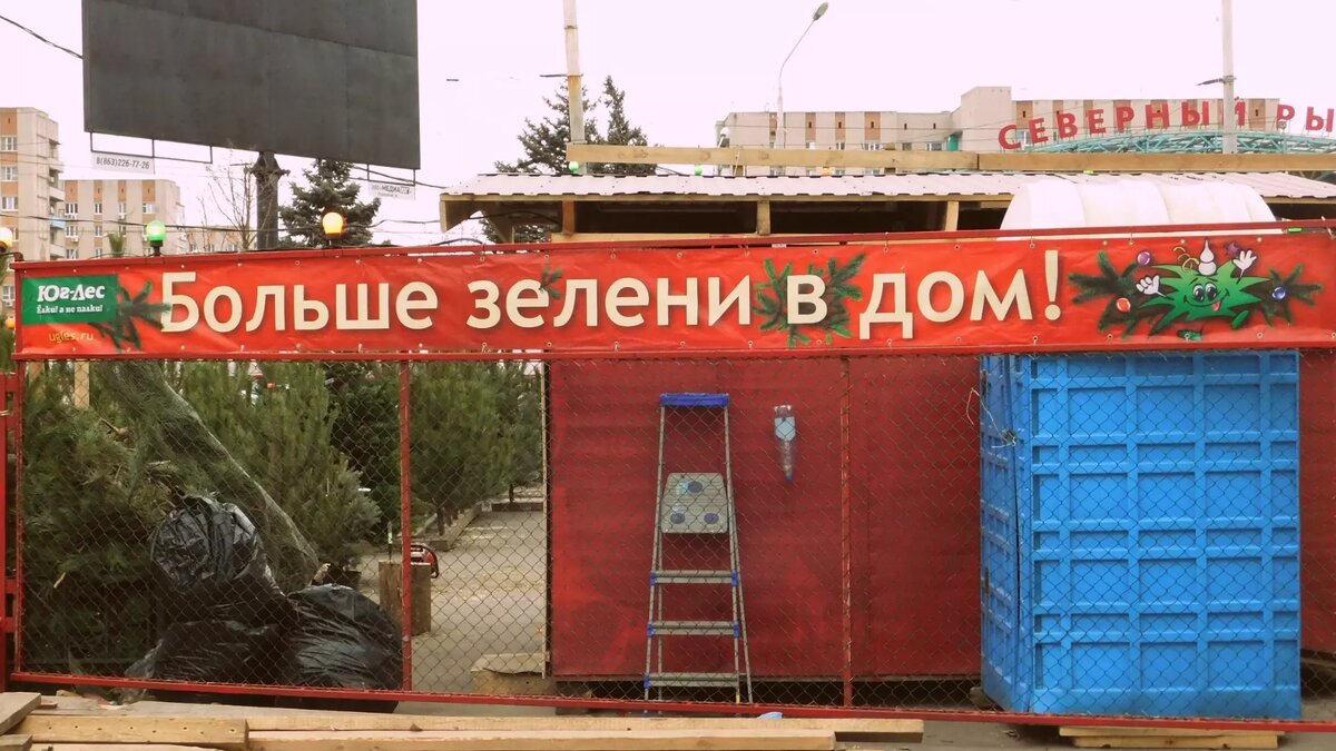     В Ставрополе с 15 декабря заработают 16 специальных базаров, где можно будет купить новогодние елки, сообщили в городской администрации.