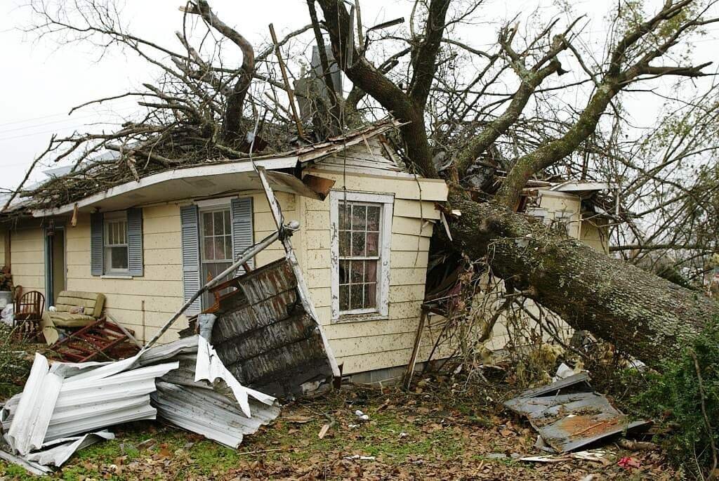 Елец дом купца поваляева. Бревенчатый дом изнутри. Саманный домик внутри. Hqroom архитектура. Дерево упало на частный дом.