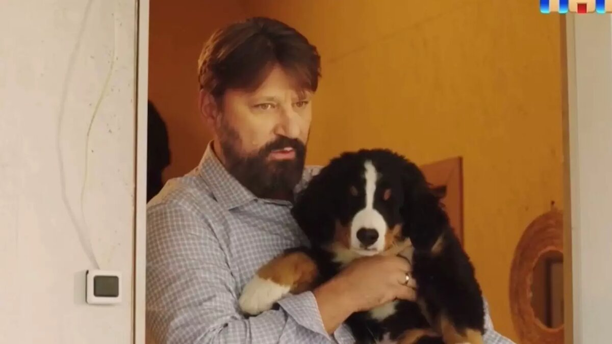     ТНТ продлил еще не вышедший сериал «Букины» на 2 сезон. Это будет продолжение ситкома «Счастливы вместе» о семье Букиных. Также канал выпустит полнометражный фильм, который расскажет отдельную от сериала историю.