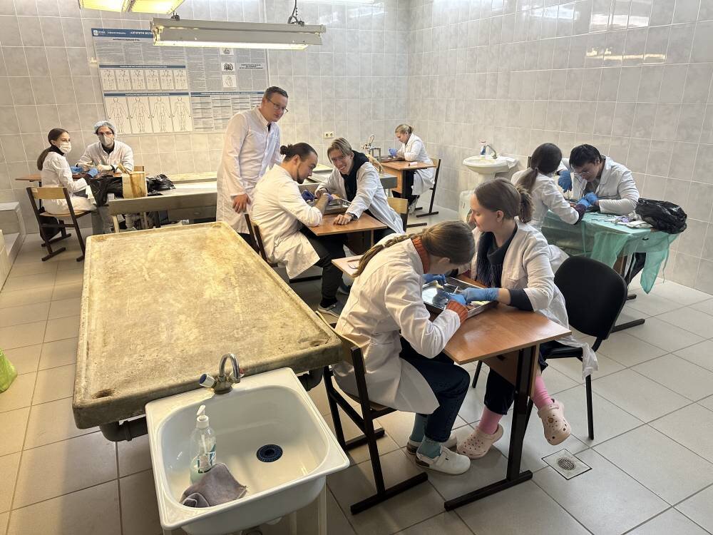 Листайте вправо, чтобы увидеть больше изображений