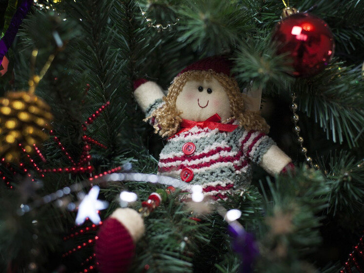     фото: Pxhere.com