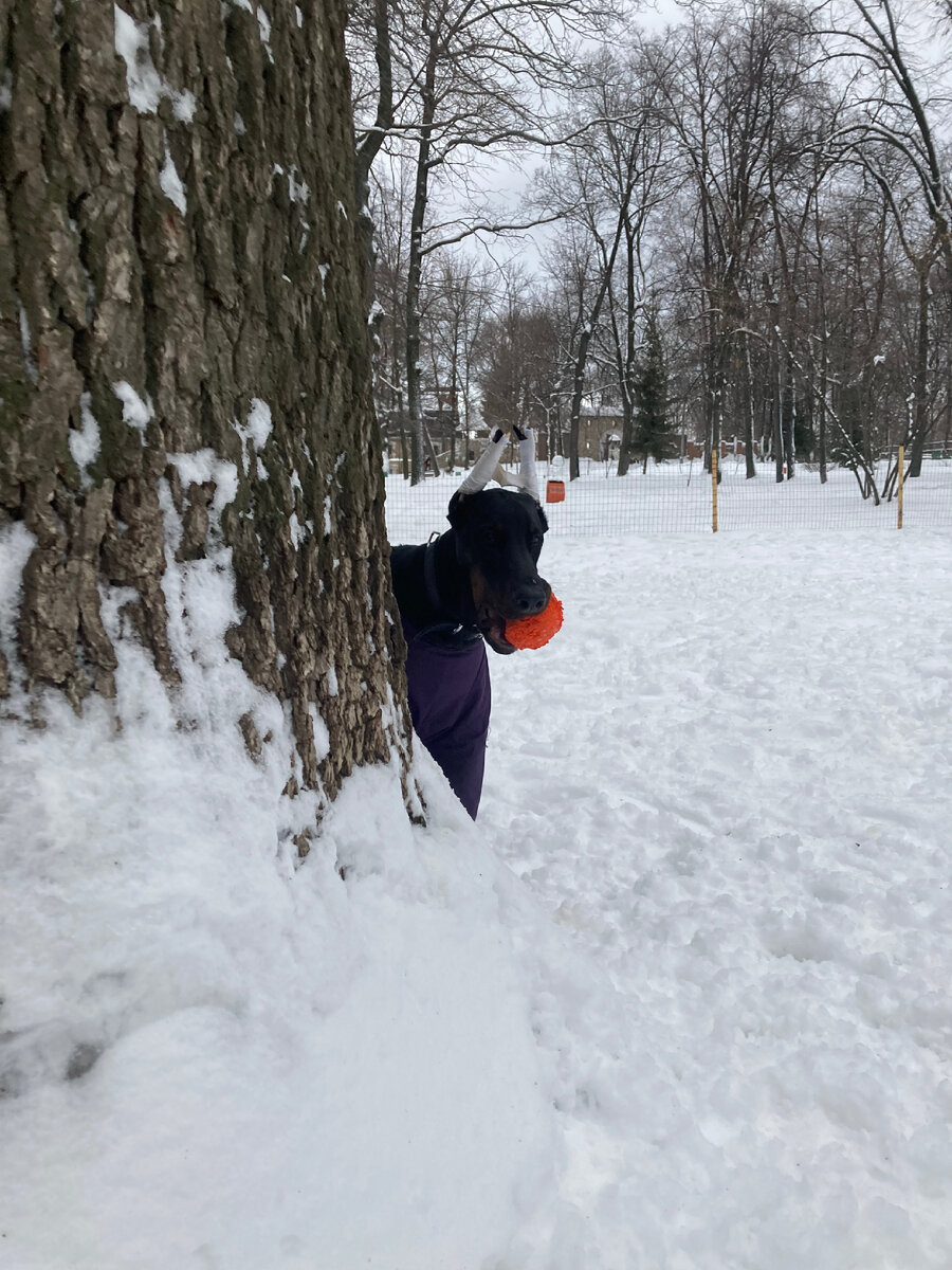 Арес прячется