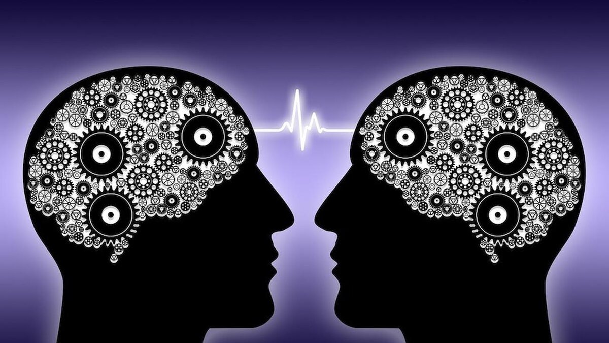 психология человека. антиинтеллектуализм. идея в голове. мозг в голове. мысли человека.