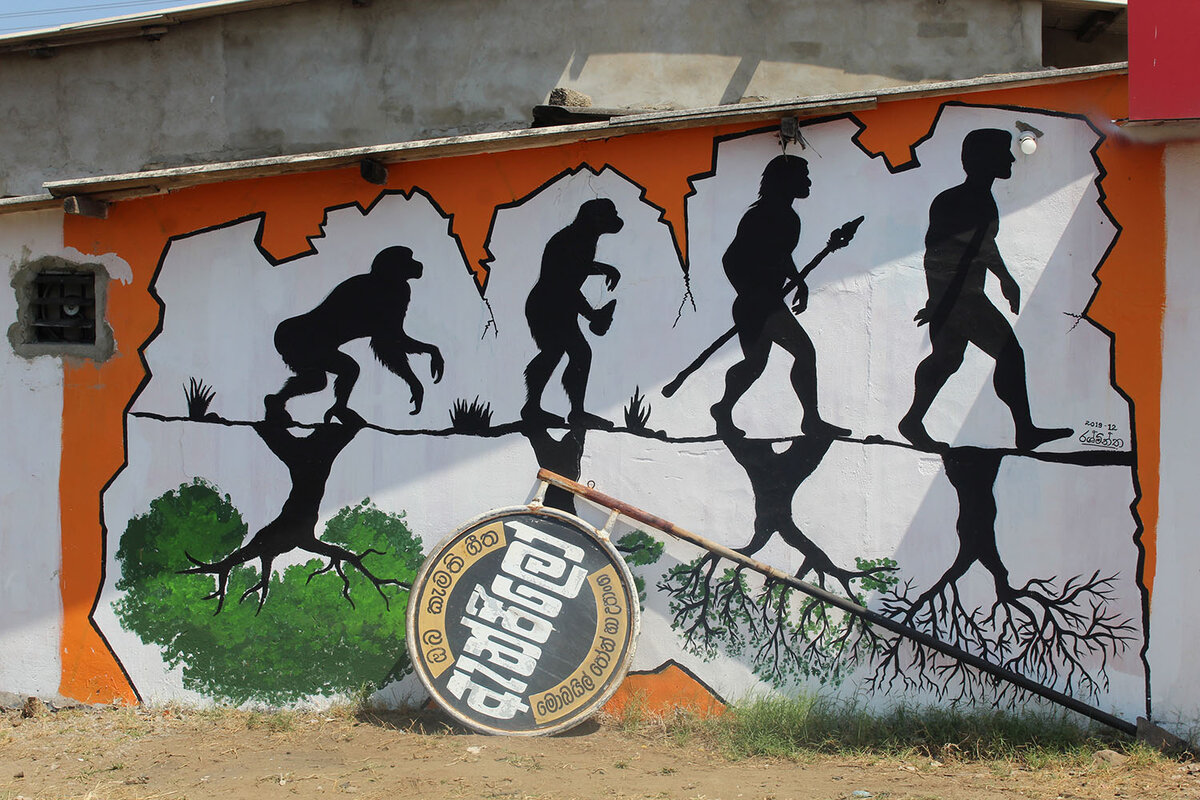 Такая эволюция