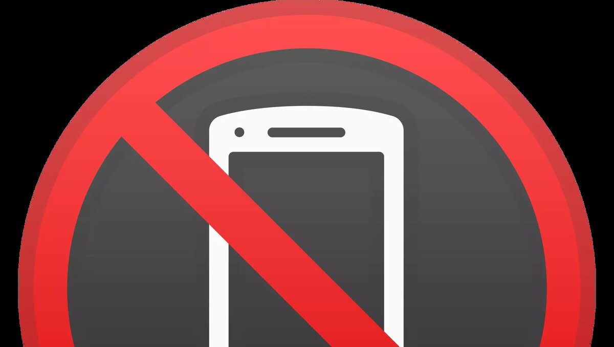     Поправки в закон об образовании, запрещающие школьникам, в том числе и ростовским, во время уроков пользоваться телефоном, приняла Госдума. Далее их рассмотрит Совет Федерации, и, в случае одобрения, после официального опубликования, они вступят в силу, сообщил RostovGazeta юрист Антон Габович.