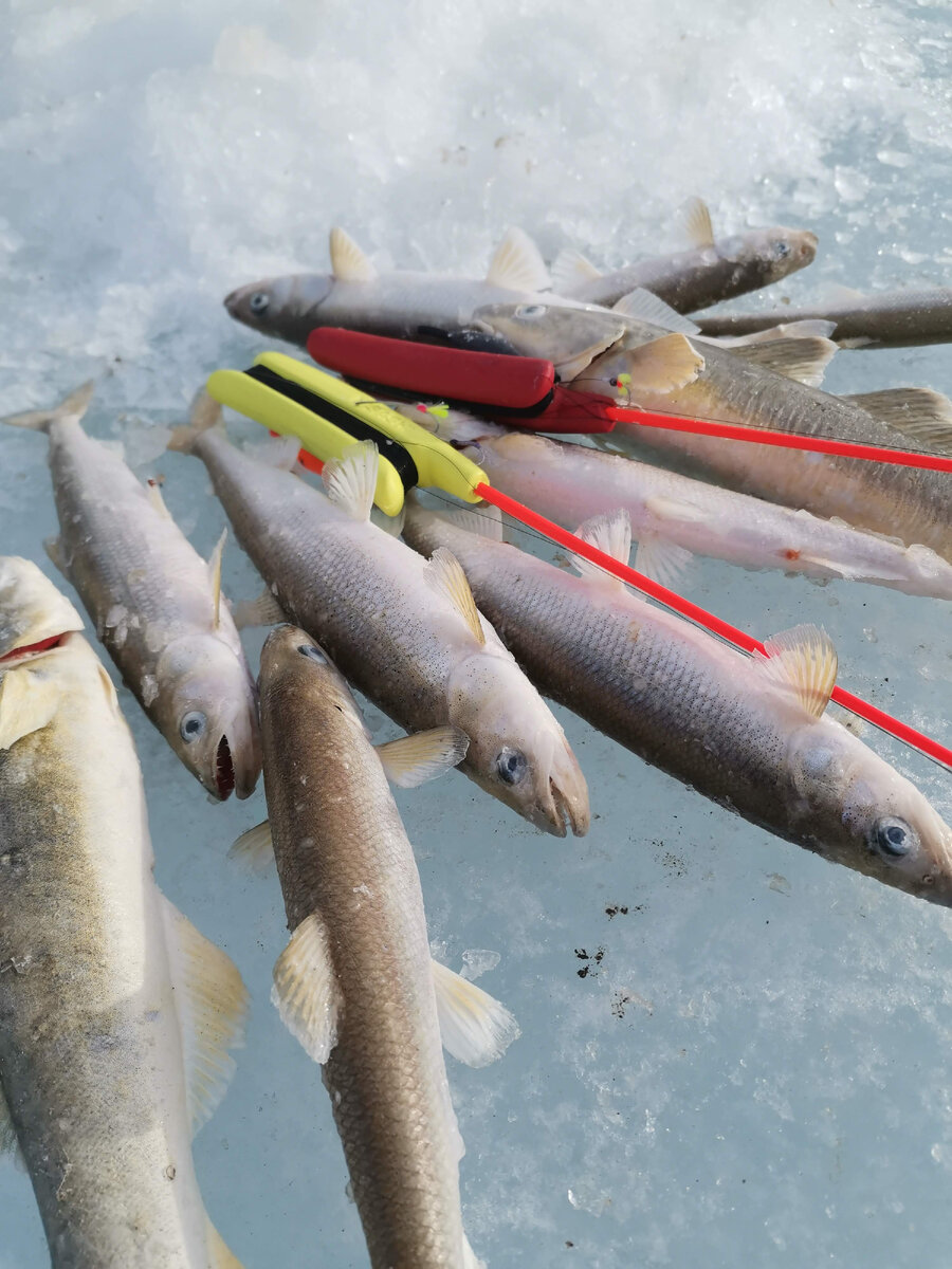 Скоро начнётся... На днях к нам поступит зимняя одежда и обувь и тогда и рыба попрёт.