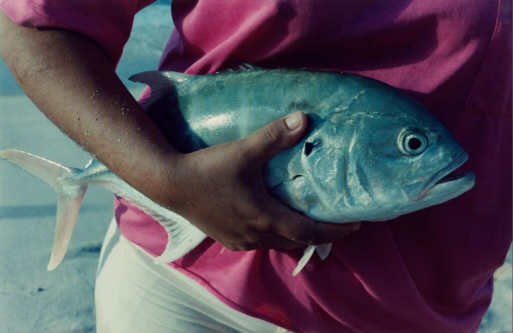    фото: Davide Sorrenti