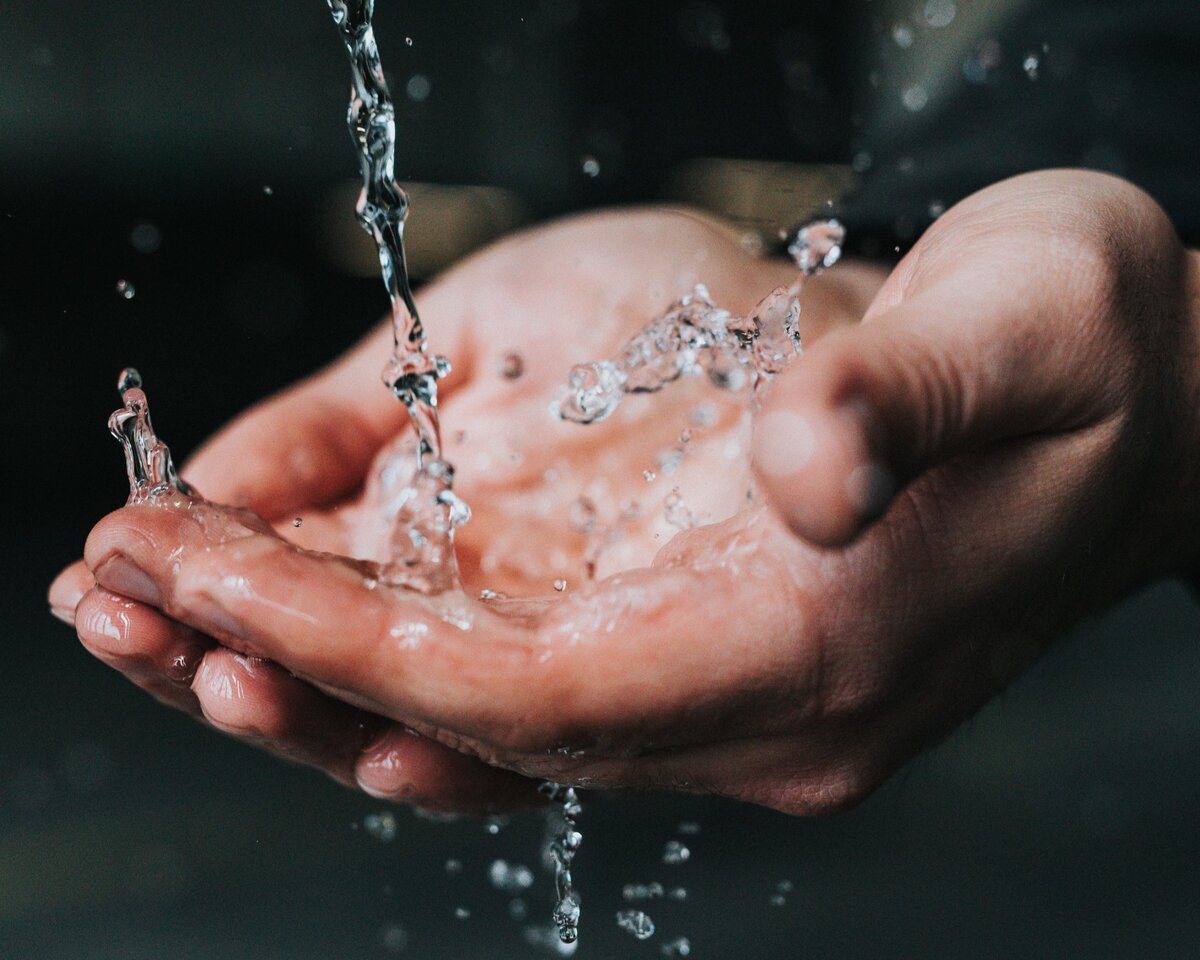 Строение и функции кожи