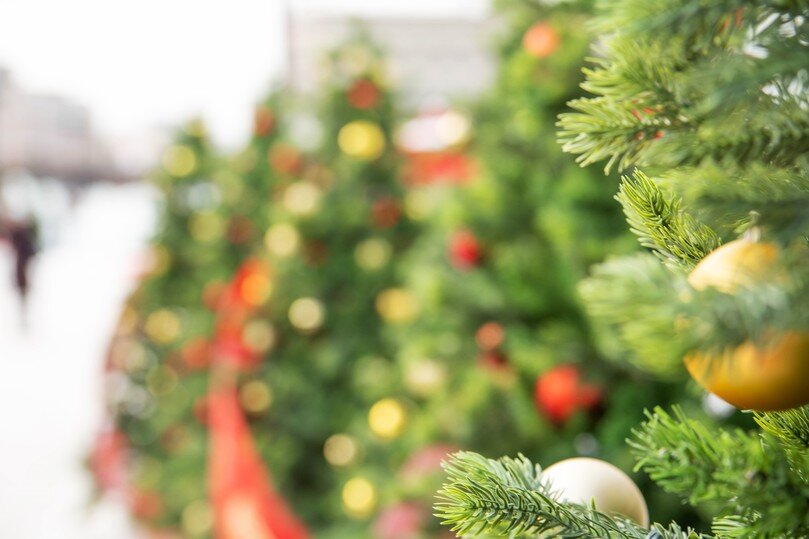   Ольга Григорьева