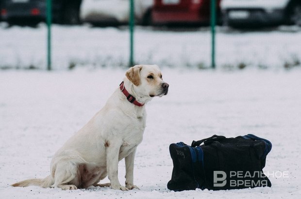 realnoevremya.ru/Максим Соколов (архив) 