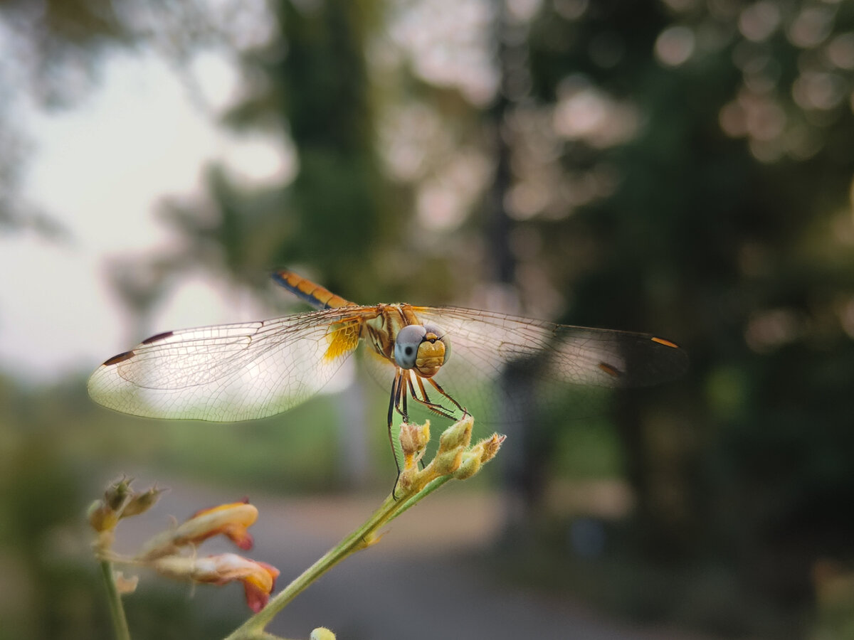 Картинка с бесплатного фотостока https://unsplash.com, автор Jainis Chaudhari