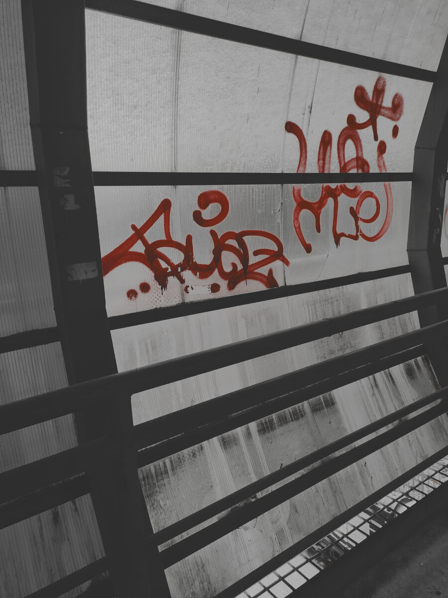 Опишите настроение этого наземного перехода в комментариях, представив себя поочередно Мадонной, лягушкой и своим клоном, выросшем в Бразилии.