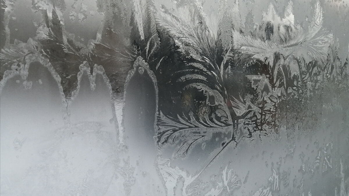 Фото: Царьград.